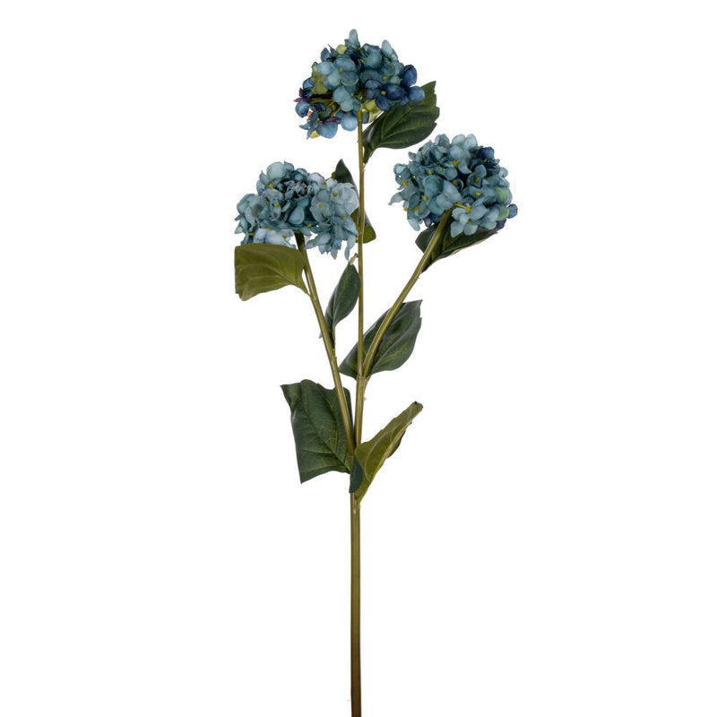 Hydrangea Stem